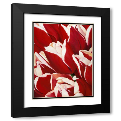 Red and White II Black Modern Wood Framed Art Print with Double Matting by Poelstra-Holzhaus, Yvonne
