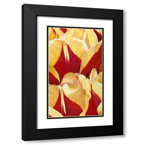 Arti Tulip II Black Modern Wood Framed Art Print with Double Matting by Poelstra-Holzhaus, Yvonne
