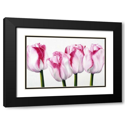 Dutch I Black Modern Wood Framed Art Print with Double Matting by Poelstra-Holzhaus, Yvonne