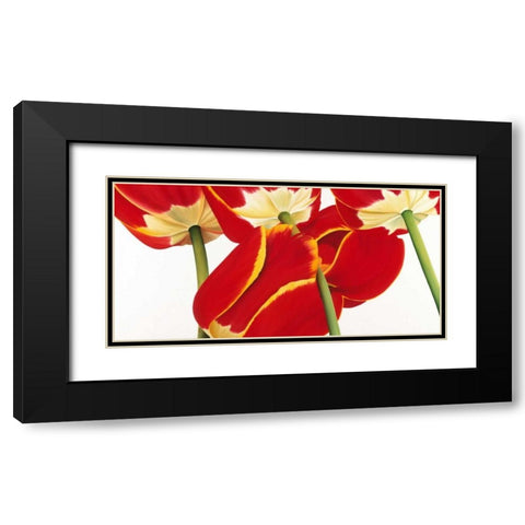 Dutch II Black Modern Wood Framed Art Print with Double Matting by Poelstra-Holzhaus, Yvonne