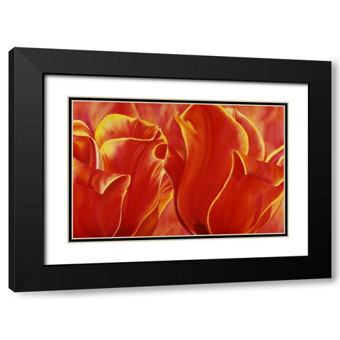 Party Tulip II Black Modern Wood Framed Art Print with Double Matting by Poelstra-Holzhaus, Yvonne