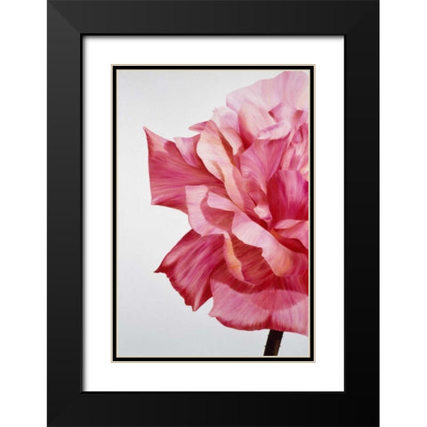 Pink Twin I Black Modern Wood Framed Art Print with Double Matting by Poelstra-Holzhaus, Yvonne