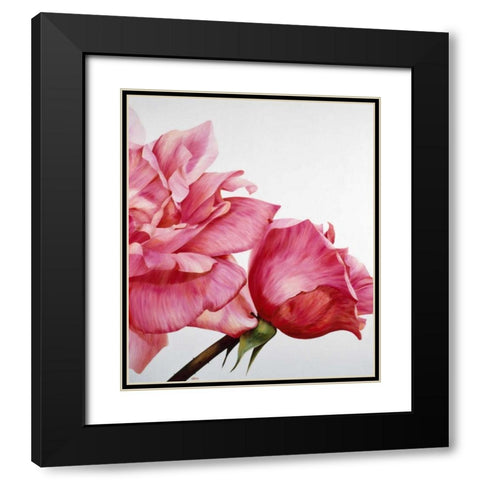 Pink Twin II Black Modern Wood Framed Art Print with Double Matting by Poelstra-Holzhaus, Yvonne