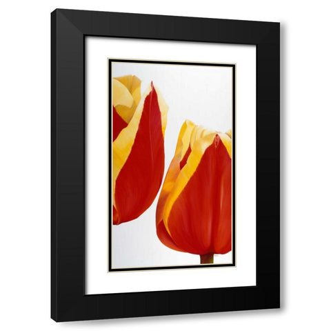 Stay there! Black Modern Wood Framed Art Print with Double Matting by Poelstra-Holzhaus, Yvonne