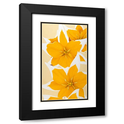 Yellow missy Black Modern Wood Framed Art Print with Double Matting by Poelstra-Holzhaus, Yvonne