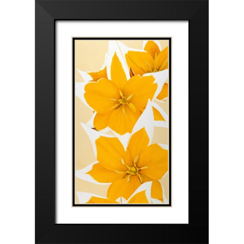 Yellow missy Black Modern Wood Framed Art Print with Double Matting by Poelstra-Holzhaus, Yvonne