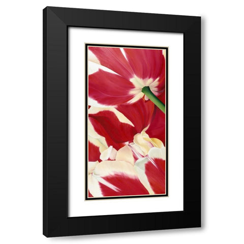 Flower dream Black Modern Wood Framed Art Print with Double Matting by Poelstra-Holzhaus, Yvonne