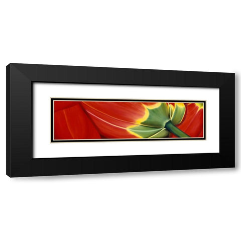 Sleeping well Black Modern Wood Framed Art Print with Double Matting by Poelstra-Holzhaus, Yvonne