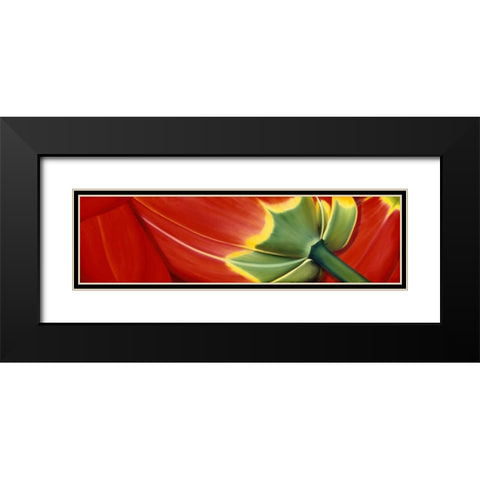 Sleeping well Black Modern Wood Framed Art Print with Double Matting by Poelstra-Holzhaus, Yvonne