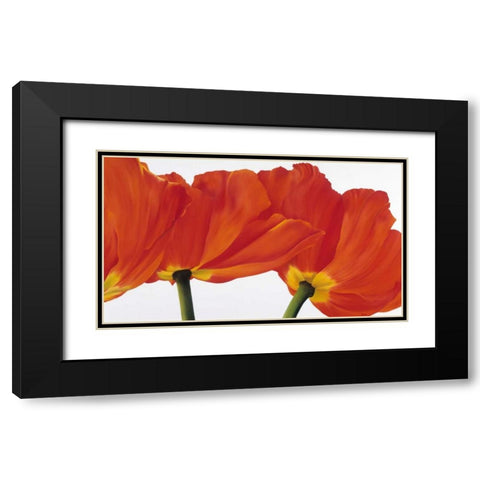 Spring dance Black Modern Wood Framed Art Print with Double Matting by Poelstra-Holzhaus, Yvonne