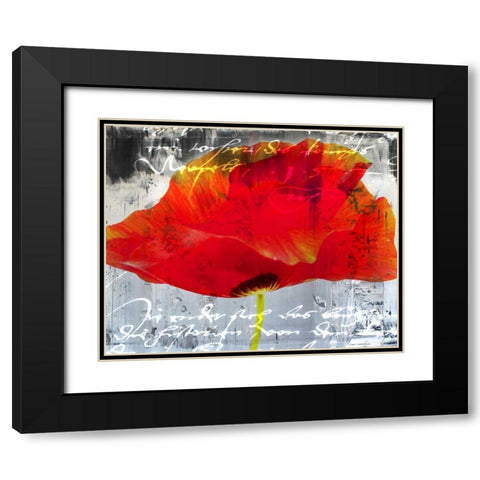 Poppy Story II Black Modern Wood Framed Art Print with Double Matting by Baker, Micha