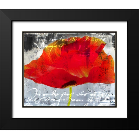 Poppy Story II Black Modern Wood Framed Art Print with Double Matting by Baker, Micha