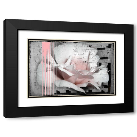 Pink Rose Black Modern Wood Framed Art Print with Double Matting by Baker, Micha