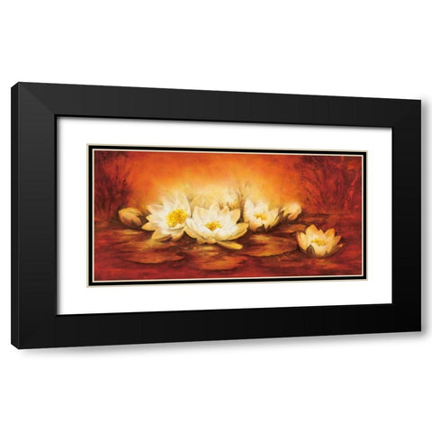Water Lilies Black Modern Wood Framed Art Print with Double Matting by Jansma, Betty