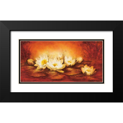 Water Lilies Black Modern Wood Framed Art Print with Double Matting by Jansma, Betty