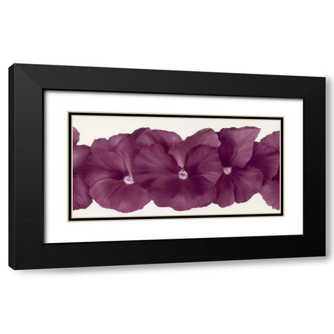 Violet Flower III Black Modern Wood Framed Art Print with Double Matting by Poelstra-Holzhaus, Yvonne