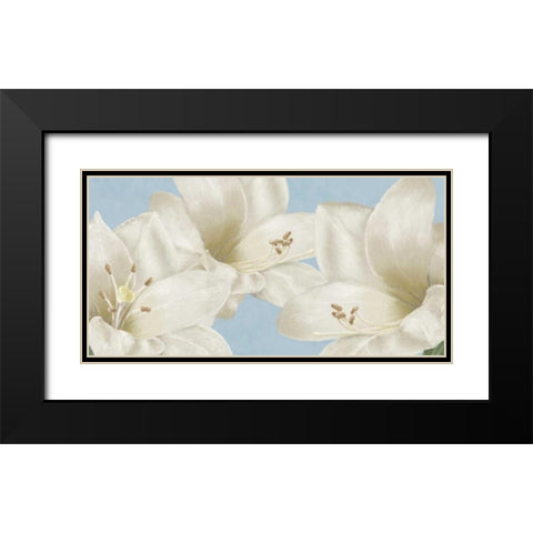 White Amaryllis III Black Modern Wood Framed Art Print with Double Matting by Linda, Wood