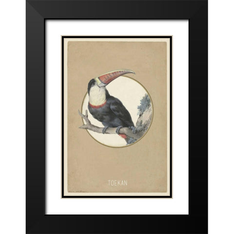 Toekan Black Modern Wood Framed Art Print with Double Matting by Waltz, Anne