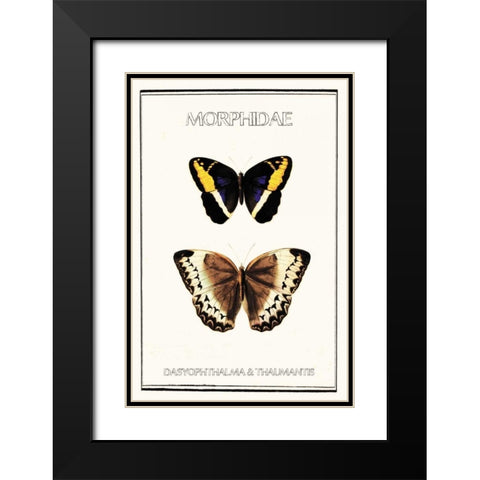 Morphidae Black Modern Wood Framed Art Print with Double Matting by Waltz, Anne