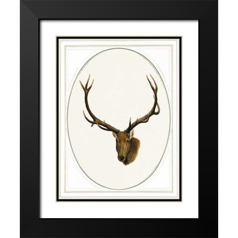Deer II Black Modern Wood Framed Art Print with Double Matting by Waltz, Anne
