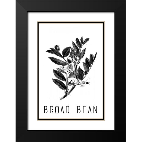 Broad Bean Black Modern Wood Framed Art Print with Double Matting by Waltz, Anne