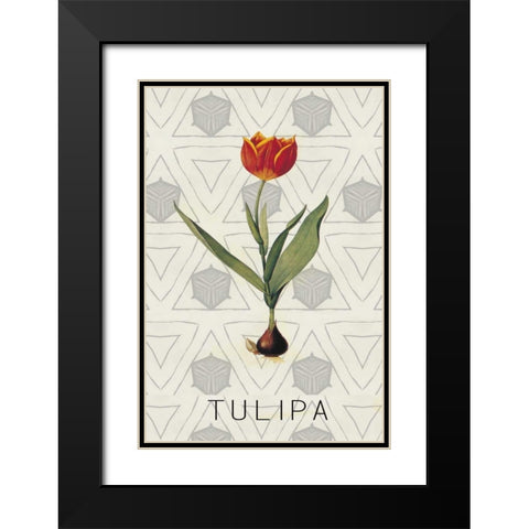 Tulipa Black Modern Wood Framed Art Print with Double Matting by Waltz, Anne