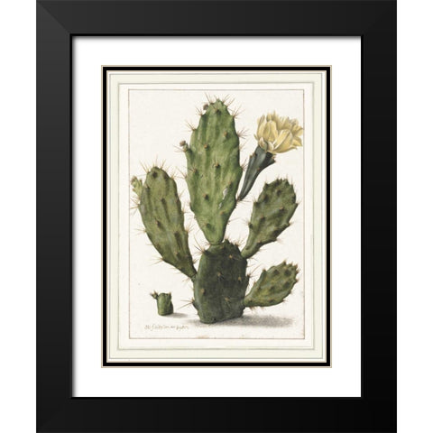 Cactenia Black Modern Wood Framed Art Print with Double Matting by Waltz, Anne