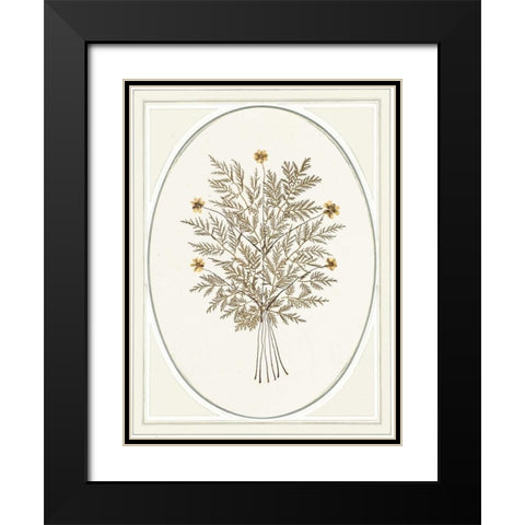 Gardenio IV Black Modern Wood Framed Art Print with Double Matting by Waltz, Anne