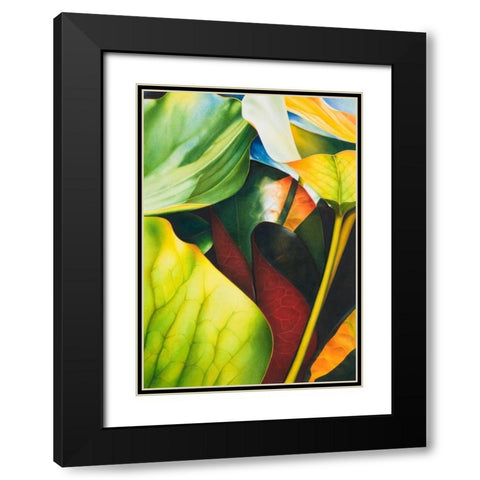Nymphea 2 Black Modern Wood Framed Art Print with Double Matting by Koch, Angelika