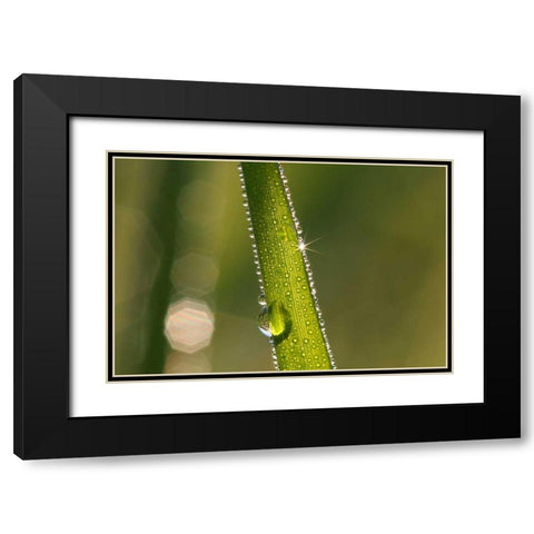 Der Sonnenstrahl Black Modern Wood Framed Art Print with Double Matting by Rossmeissl, Gerhard