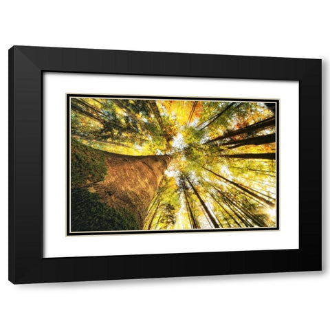 Hoch hinauf Black Modern Wood Framed Art Print with Double Matting by Rossmeissl, Gerhard