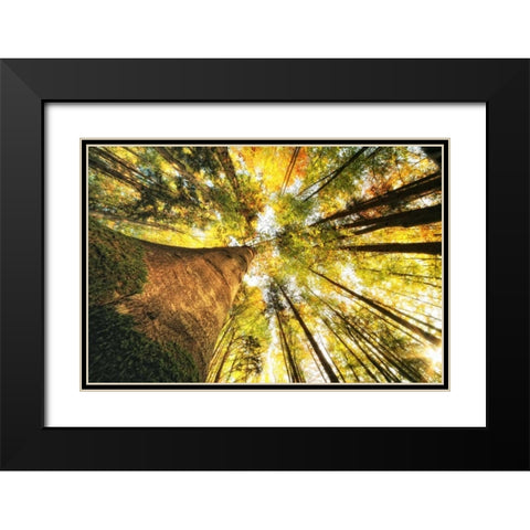 Hoch hinauf Black Modern Wood Framed Art Print with Double Matting by Rossmeissl, Gerhard