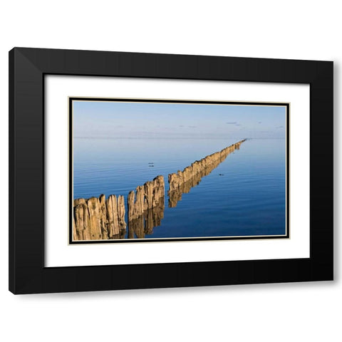 Weite Black Modern Wood Framed Art Print with Double Matting by Rossmeissl, Gerhard