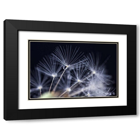 Schonheit Black Modern Wood Framed Art Print with Double Matting by Rossmeissl, Gerhard