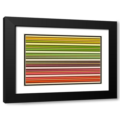 Color Lines I Black Modern Wood Framed Art Print with Double Matting by Rossmeissl, Gerhard