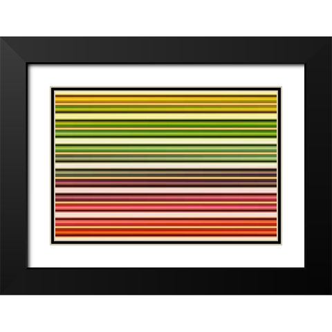 Color Lines I Black Modern Wood Framed Art Print with Double Matting by Rossmeissl, Gerhard