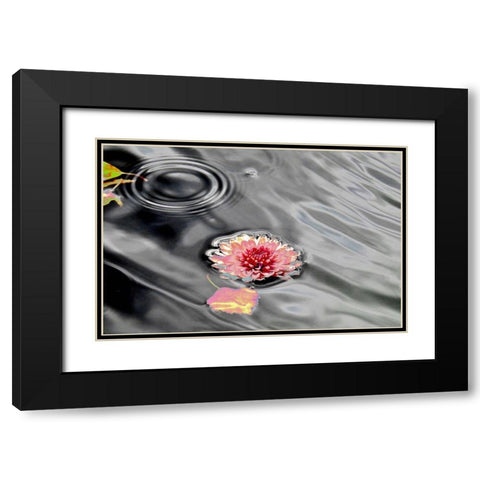 Traumwasser Black Modern Wood Framed Art Print with Double Matting by Weissing, Gerd