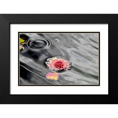Traumwasser Black Modern Wood Framed Art Print with Double Matting by Weissing, Gerd
