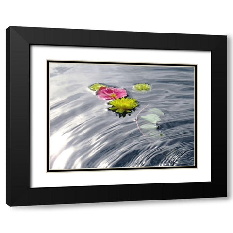 Wassertraum Black Modern Wood Framed Art Print with Double Matting by Weissing, Gerd