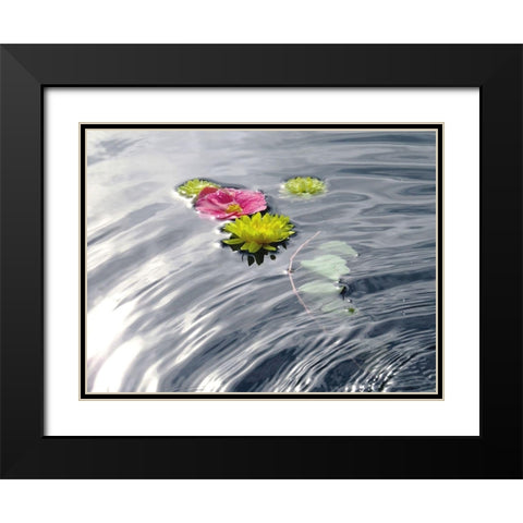 Wassertraum Black Modern Wood Framed Art Print with Double Matting by Weissing, Gerd