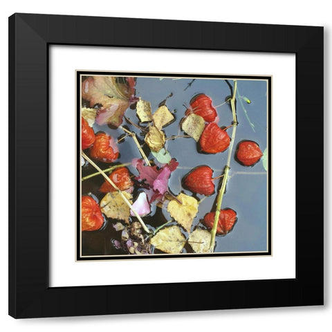 Herbstwasser Black Modern Wood Framed Art Print with Double Matting by Weissing, Gerd