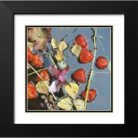 Herbstwasser Black Modern Wood Framed Art Print with Double Matting by Weissing, Gerd