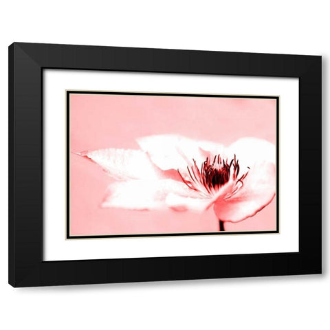 Beauty Black Modern Wood Framed Art Print with Double Matting by Riedt, Kirsten