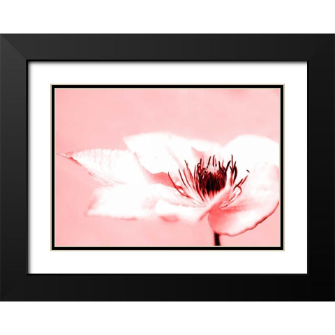 Beauty Black Modern Wood Framed Art Print with Double Matting by Riedt, Kirsten