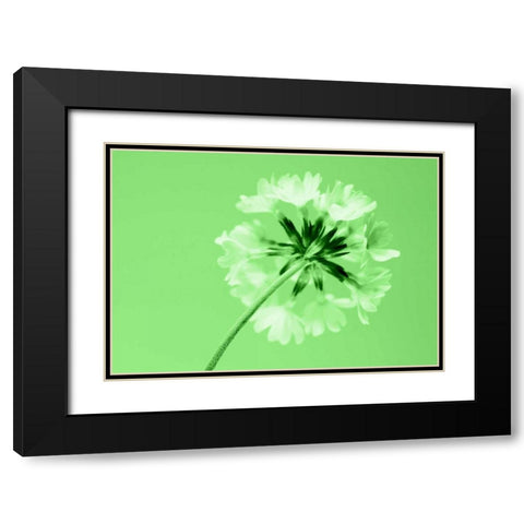 Frizzy Black Modern Wood Framed Art Print with Double Matting by Riedt, Kirsten