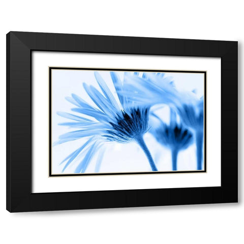 Romance in blue Black Modern Wood Framed Art Print with Double Matting by Riedt, Kirsten