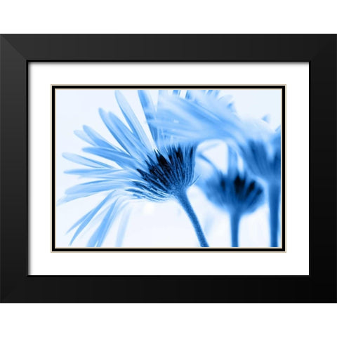 Romance in blue Black Modern Wood Framed Art Print with Double Matting by Riedt, Kirsten