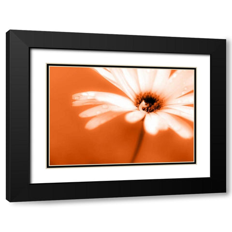 Leaned Black Modern Wood Framed Art Print with Double Matting by Riedt, Kirsten