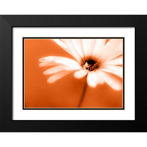 Leaned Black Modern Wood Framed Art Print with Double Matting by Riedt, Kirsten