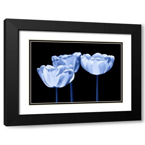 Three of us Black Modern Wood Framed Art Print with Double Matting by Riedt, Kirsten